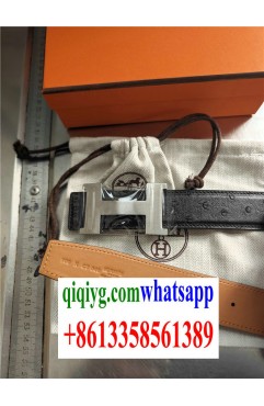 qiqiyg.com Official Site zxrtrade59 Wholesale Fashion Clothing, Belts & Watches | 2025 Hotsale Items with Dropshipping Support