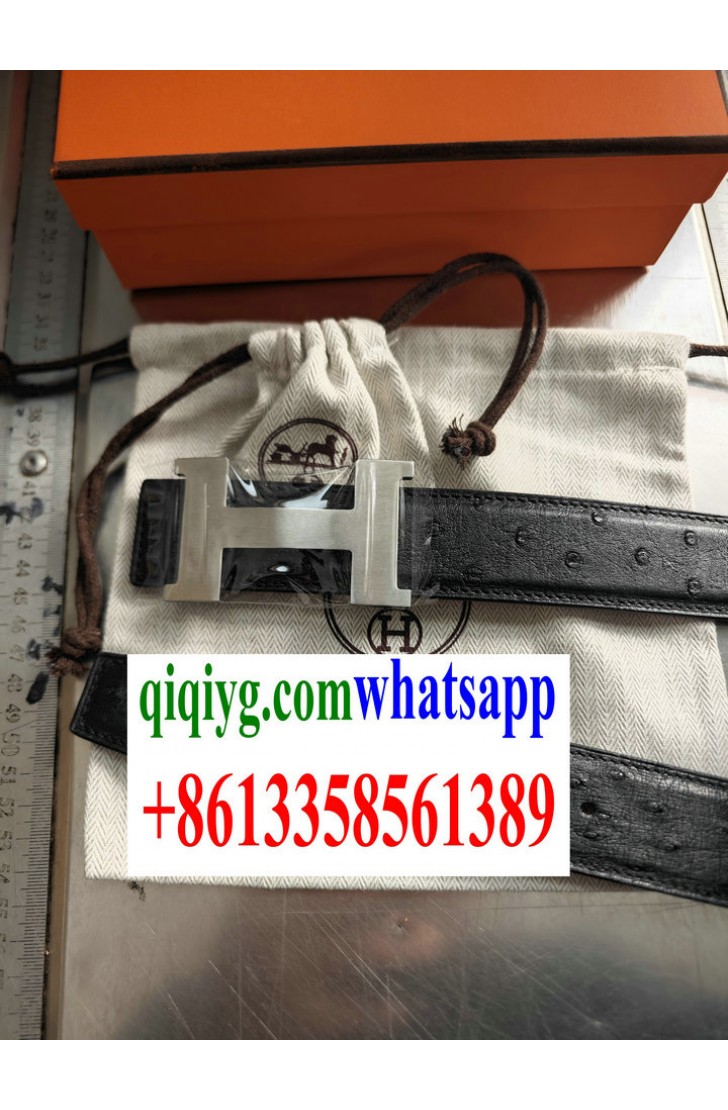 qiqiyg.com Official Site zxrtrade66 Wholesale Fashion Clothing, Belts & Watches | 2025 Hotsale Items with Dropshipping Support