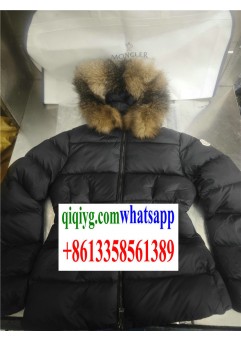 qiqiyg.com Official Site zxrtrade219 Wholesale Fashion Clothing, Belts & Watches | 2025 Hotsale Items with Dropshipping Support